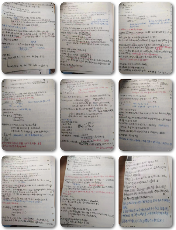 1689582100456051049.png 图片16.png