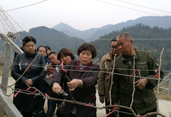 1512005350358014614.png 3.png