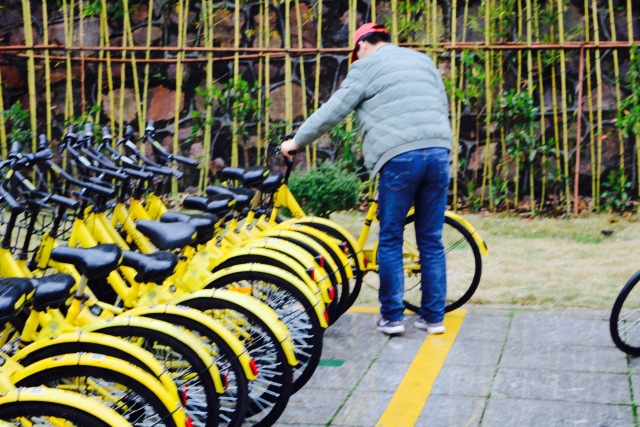 1521536147880009984.jpg 1521536147880009984.jpg