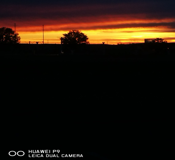 1551439827440005938.png 图片5.png