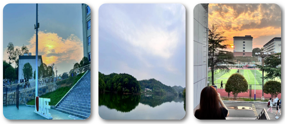 1689581687774089866.png 图片1.png