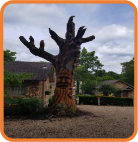 1551428697418022499.png 图片7.png