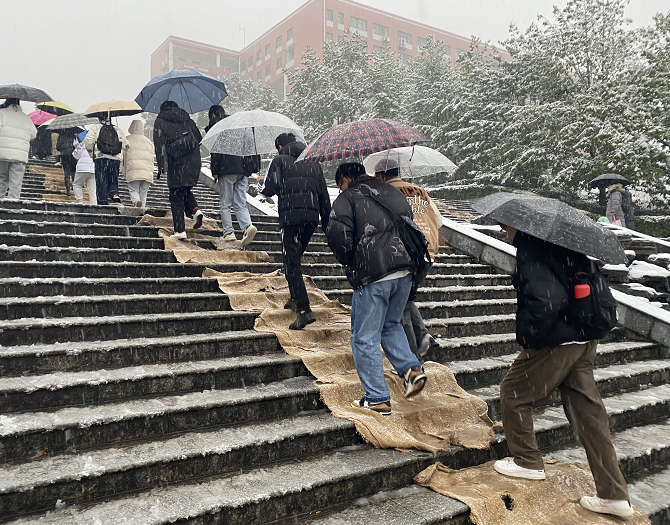 1645587165247089942.png 11.png