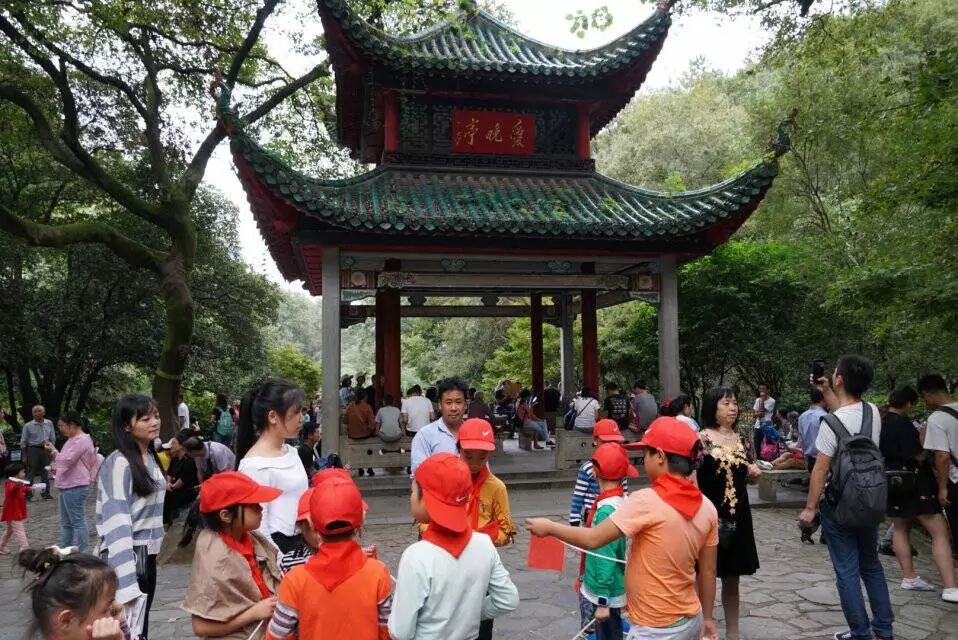 1539004146074078844.jpg 1539004146074078844.jpg